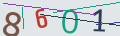 verifycode